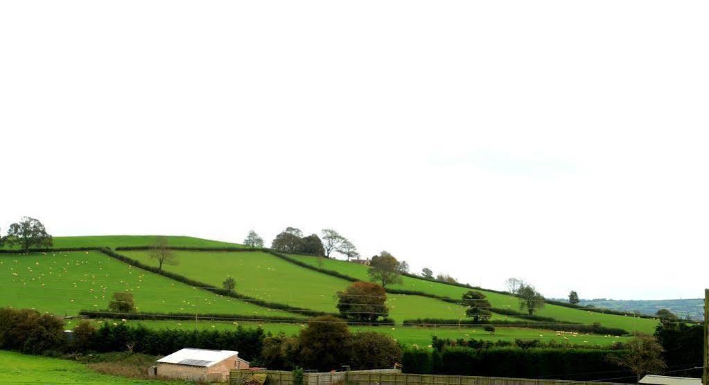 The Cannards Well Shepton Mallet Esterno foto